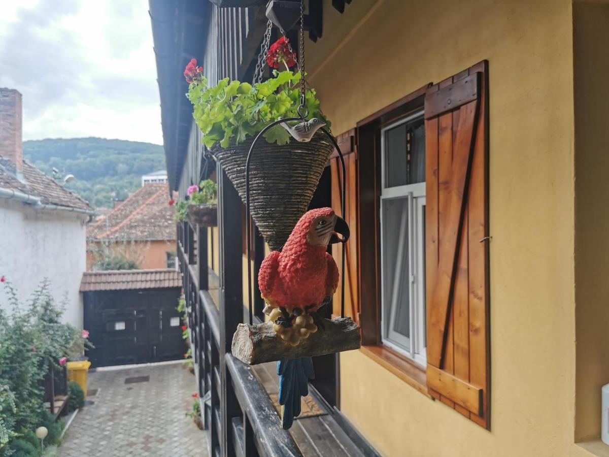 Casa Cu Cerdac Hotel Sighişoara Eksteriør billede